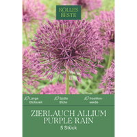 Kölles Beste Zierlauch 'Purple Rain®', lila, 5 Blumenzwiebeln Kölles Beste Zierlauch 'Purple Rain®', lila, 5 Blumenzwiebeln