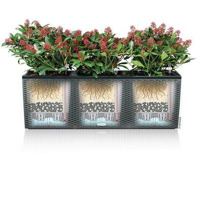 Lechuza 'Trio Cottage 30', sandbraun, ca. 100 x 32,5 x H 34,5 cm