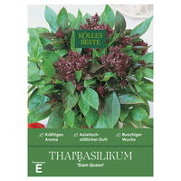 Kölles Beste Kräutersamen Thaibasilikum Siam Queen Kölles Beste Kräutersamen Thaibasilikum Siam Queen