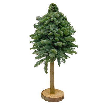 gebundener Baum aus echter Nobilistanne auf Stamm, Höhe ca. 60 cm gebundener Baum aus echter Nobilistanne auf Stamm, Höhe ca. 60 cm