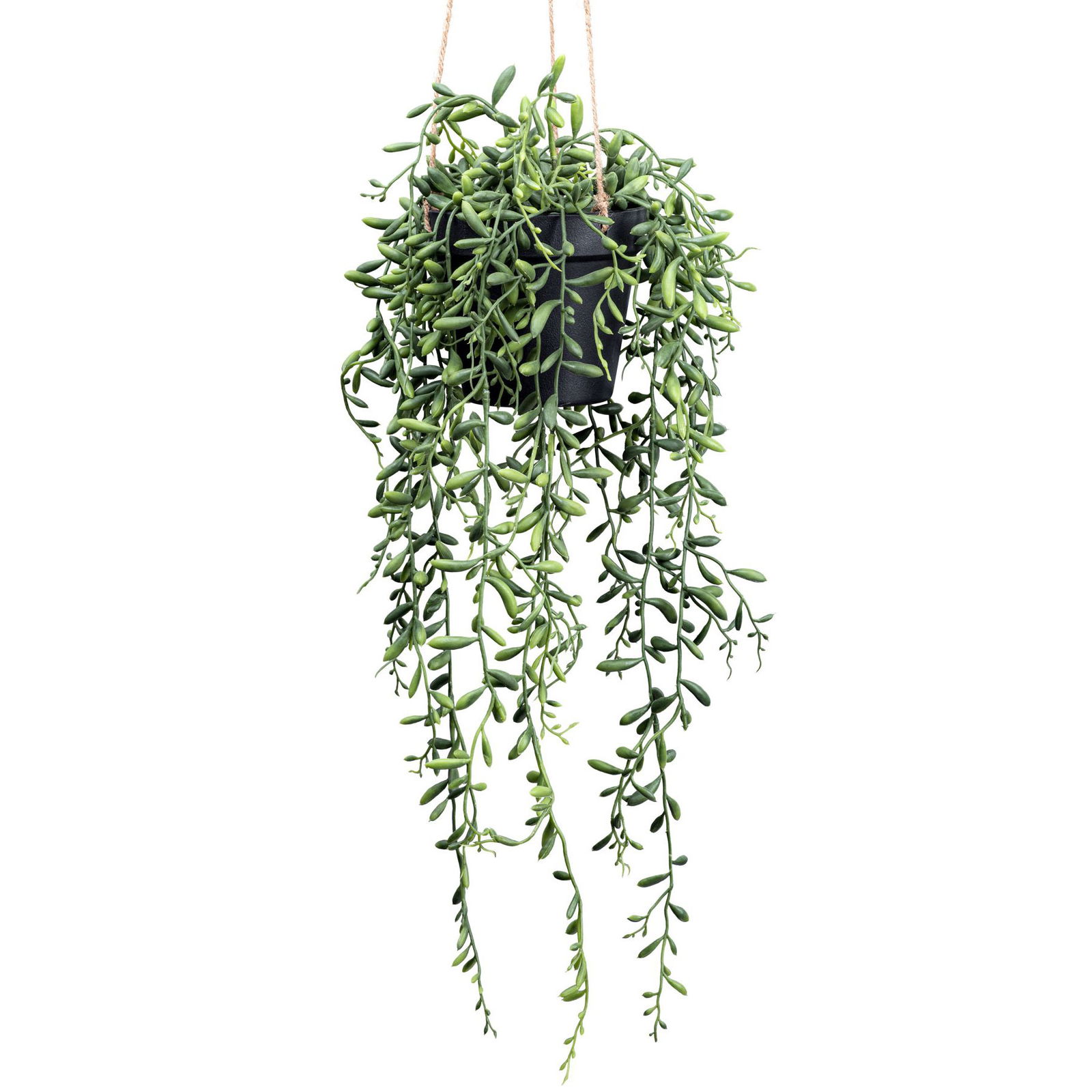 Kunstpflanze Senecio herreianus im Hängetopf, Höhe ca. 55 cm