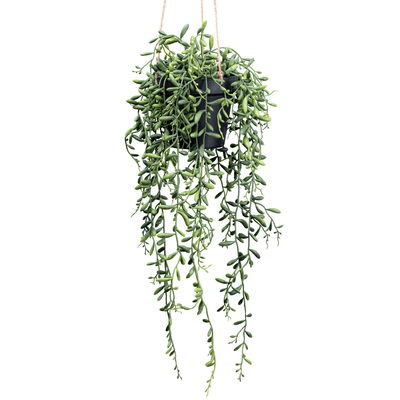 Kunstpflanze Senecio herreianus, Höhe ca. 55 cm Kunstpflanze Senecio herreianus, Höhe ca. 55 cm