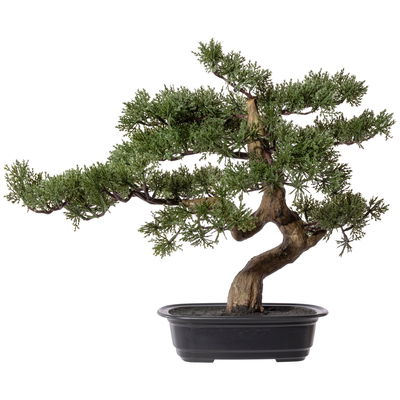 Künstlicher Zeder Bonsai, Höhe ca. 40 cm Künstlicher Zeder Bonsai, Höhe ca. 40 cm
