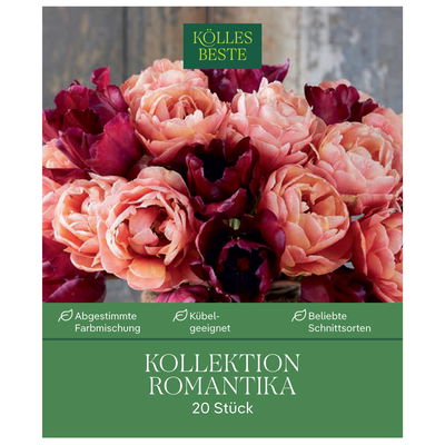 Tulpenmischung Kollektion 'Romantika', 20 Blumenzwiebeln
