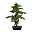 Kunstpflanze Bonsai Myrthe, Höhe ca. 85 cm