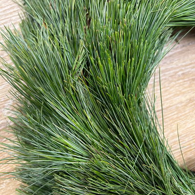 Seidenkiefer-Kranz, halbrund gebunden, ca. 30 cm Ø Seidenkiefer-Kranz, halbrund gebunden, ca. 30 cm Ø