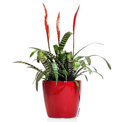 Lechuza 'Classico LS 50', scarlet-rot, ca. Ø 50 x H 47 cm