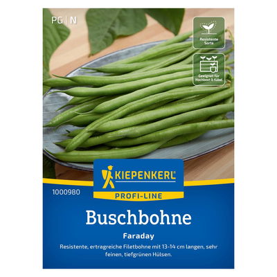 Saatgut Buschbohne 'Faraday' Saatgut Buschbohne 'Faraday'