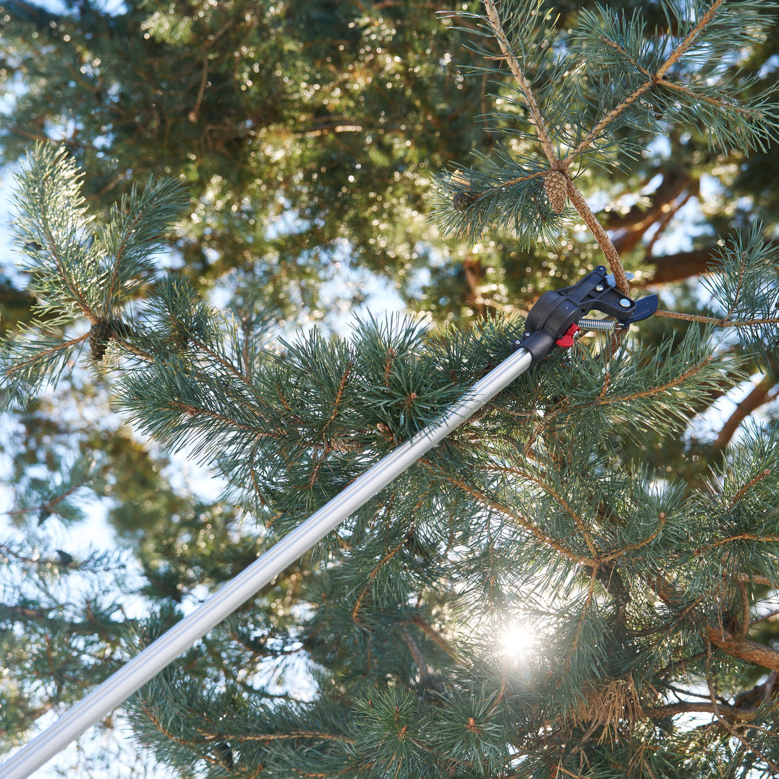 Felco Teleskop Astschere Nr. 290, Länge ca. 239 – 400 cm Felco Teleskop Astschere Nr. 290, Länge ca. 239 – 400 cm