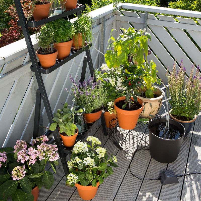 Urlaubsbewässerung CityGardening jetzt bei PflanzenKölle kaufen
