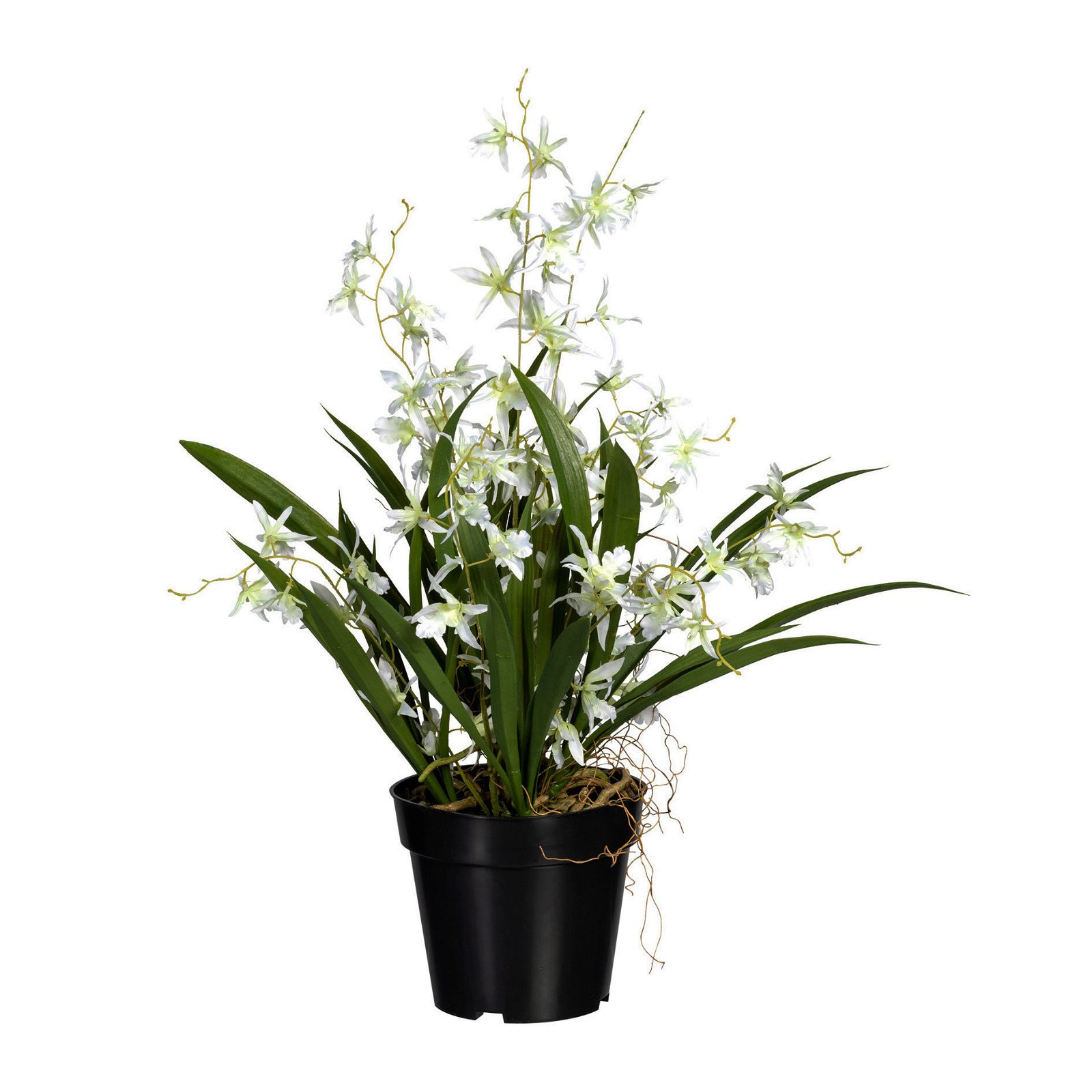 Künstliche Orchidee 'Dancing Queen', weißgrüne Blüten, ca. 60 cm, Kunststofftopf 17 x 14,5 cm