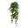 Kunstpflanze Englischer Efeuhänger, 2er-Set, ca. 144 Blätter, Höhe ca. 70 cm