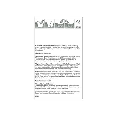 Kollektion Dahlien 'Sweet Pastell', Größe 1, 5 Blumenknollen