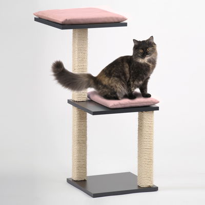 Silvio Design Katzenbaum 'Jaimie', anthrazit, Kissen in rosa Silvio Design Katzenbaum 'Jaimie', anthrazit, Kissen in rosa