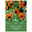 Wildtulpen 'Whittali', orange, Größe 6+, 10 Blumenzwiebeln Wildtulpen 'Whittali', orange, Größe 6+, 10 Blumenzwiebeln
