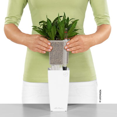 Lechuza 'Mini-Cubi', weiß, ca. 9,5 x 9,5 x H 18,5 cm