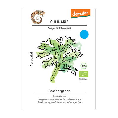 Saatgut, Asiasalat 'Feathergreen' Saatgut, Asiasalat 'Feathergreen'