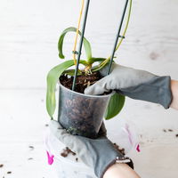 Online Kreativ-Kurs Online Kreativ-Kurs