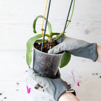 Online Kreativ-Kurs Online Kreativ-Kurs