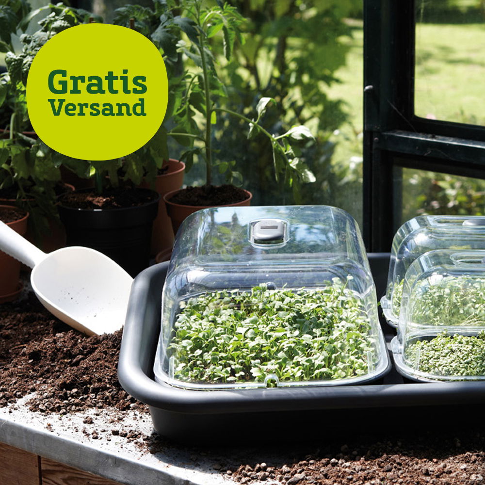 Kräuter, Obst & Gemüsepflanzen online kaufen PflanzenKölle