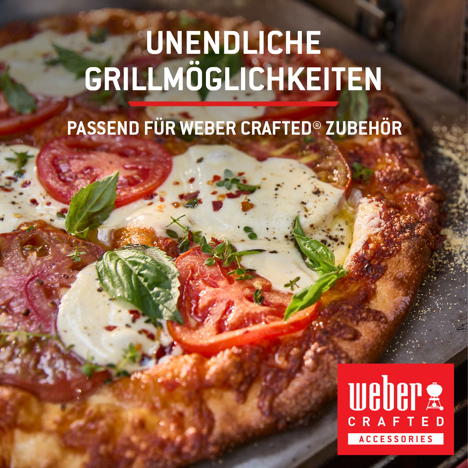 Weber Gasgrill 'Spirit E-210', schwarz