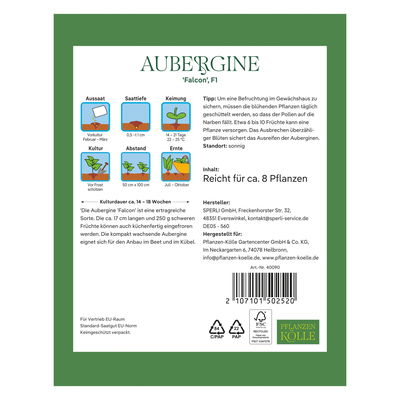 Kölles Beste Saatgut Aubergine 'Falcon', lila