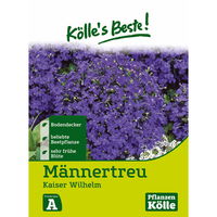Kölle's Beste Blumensamen Lobelia 