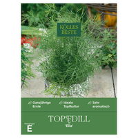 Kölles Beste Kräutersamen Dill Delikat