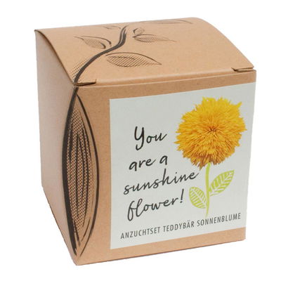 Anzuchtset Teddybär-Sonnenblume, Saatgut und Anzuchterde inklusive Anzuchtset Teddybär-Sonnenblume, Saatgut und Anzuchterde inklusive