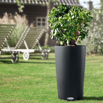 Lechuza 'Cilindro Color 32', schiefergrau, ca. Ø 32 x H 56 cm