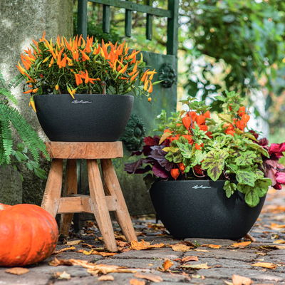 Lechuza 'Cubeto Stone 30', graphitschwarz, ca. Ø 30 x H 13 cm Lechuza 'Cubeto Stone 30', graphitschwarz, ca. Ø 30 x H 13 cm