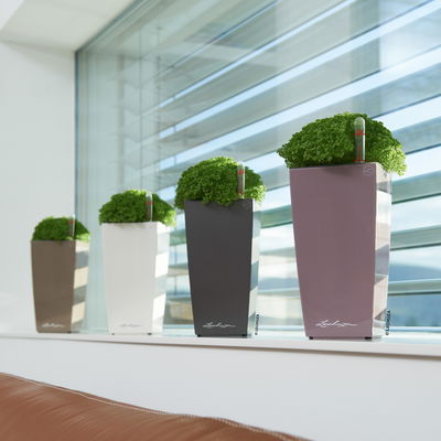 Lechuza 'Mini-Cubi', anthrazit, ca. 9,5 x 9,5 x H 18,5 cm