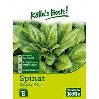 Kölle's Beste Spinat 'Matador', 50g