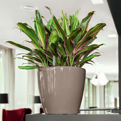 Lechuza 'Classico LS 28', taupe, ca. Ø 28 x H 26 cm