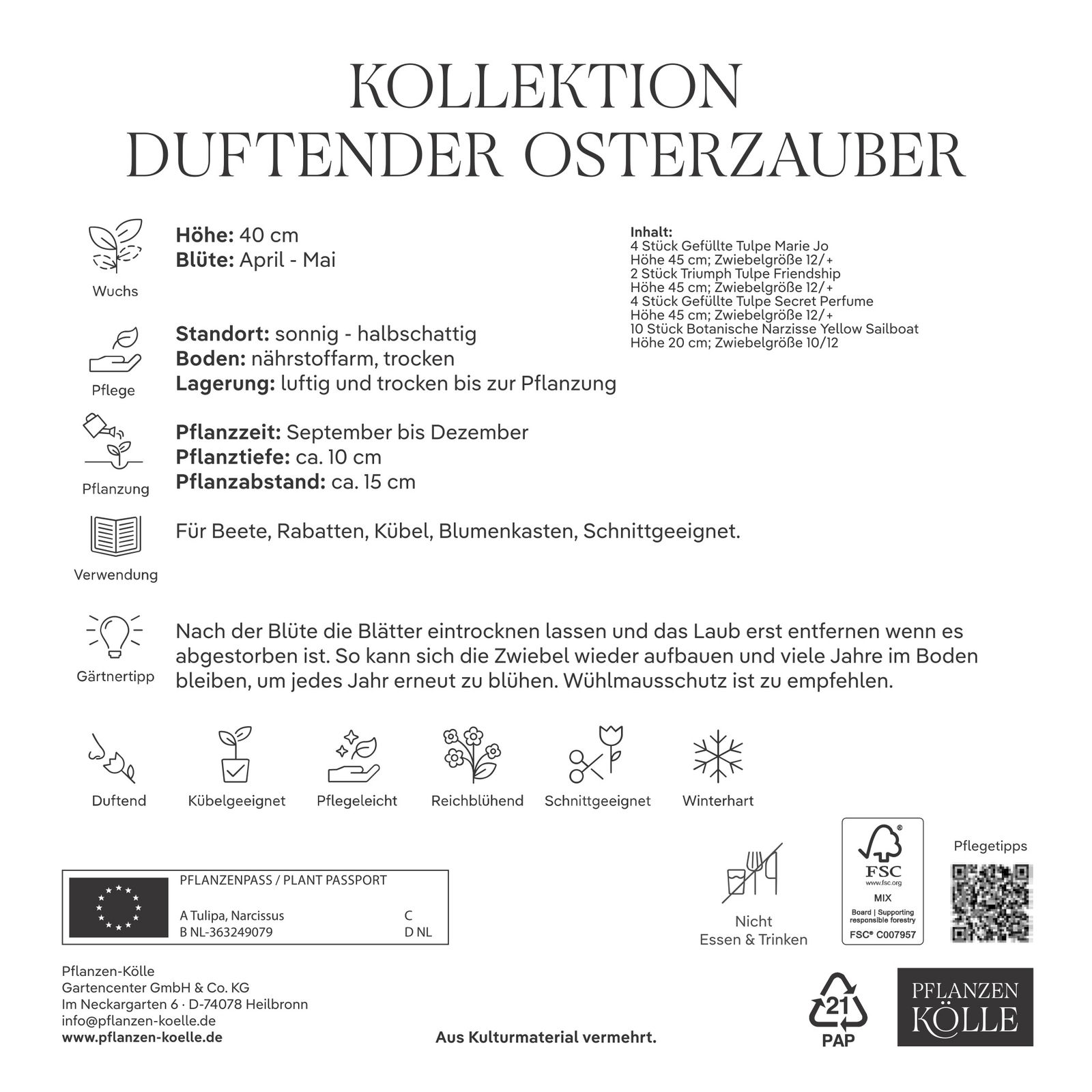 Tulpen & Narzissen Mischung 'Osterzauber-Duftmischung', 20 Blumenzwiebeln Tulpen & Narzissen Mischung 'Osterzauber-Duftmischung', 20 Blumenzwiebeln