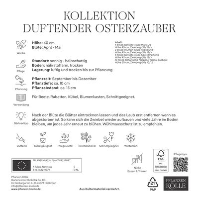 Tulpen & Narzissen Mischung 'Osterzauber-Duftmischung', 20 Blumenzwiebeln Tulpen & Narzissen Mischung 'Osterzauber-Duftmischung', 20 Blumenzwiebeln