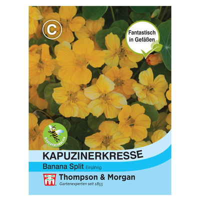 Kapuzinerkresse (Tropaeolum) Banana Split / einjährig, üppig, gold-gelbe Blüten Kapuzinerkresse (Tropaeolum) Banana Split / einjährig, üppig, gold-gelbe Blüten