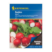 Radieschensamen, Radieschen 'Saxa 3'