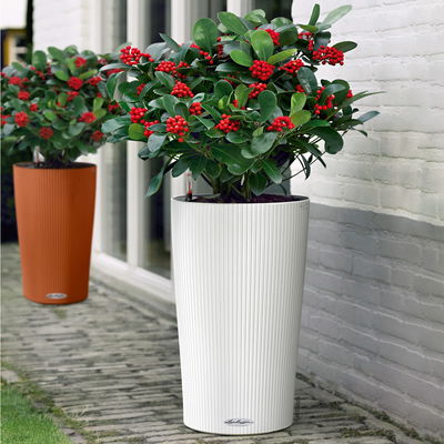 Lechuza 'Cilindro Color 32', weiß, ca. Ø 32 x H 56 cm Lechuza 'Cilindro Color 32', weiß, ca. Ø 32 x H 56 cm