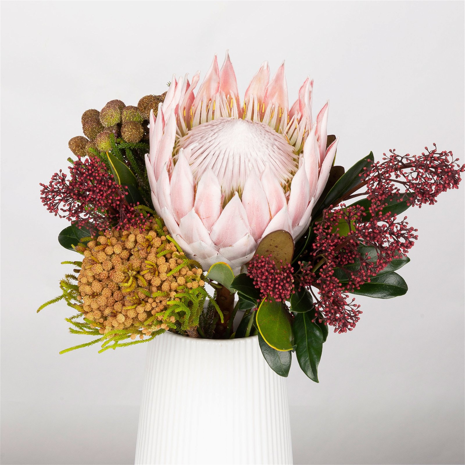 Blumenbund Protea King mit Skimmie und Kapgrün, inkl. gratis Grußkarte