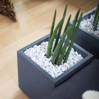 Eda Pflanztrog 'Graphit Dado', anthrazit, ca. 39,5 x 39,5 x H 43,5 cm