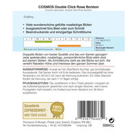Thompson & Morgan Schmuckkörbchen 'Double click Rose Bonbon'