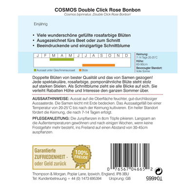 Thompson & Morgan Schmuckkörbchen 'Double click Rose Bonbon' Thompson & Morgan Schmuckkörbchen 'Double click Rose Bonbon'