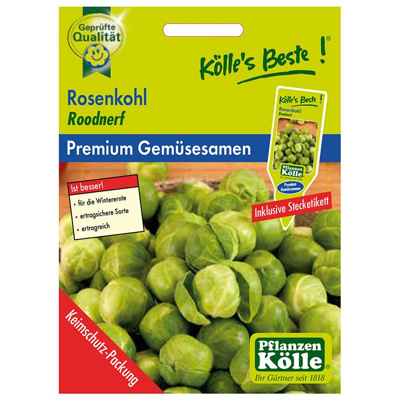 Kölle's Beste Gemüsesamen Rosenkohl Roodnerf