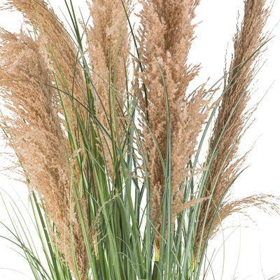 Kunstpflanze Natur-Schilfgras, Höhe ca. 110 cm Kunstpflanze Natur-Schilfgras, Höhe ca. 110 cm
