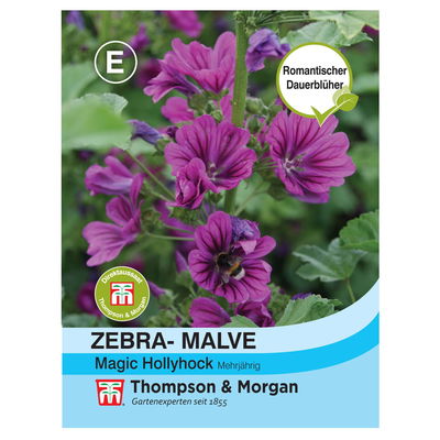 Thompson & Morgan Blumensamen Malve 