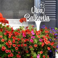 Illumino Blumenstecker 'Viva Balkonia!'