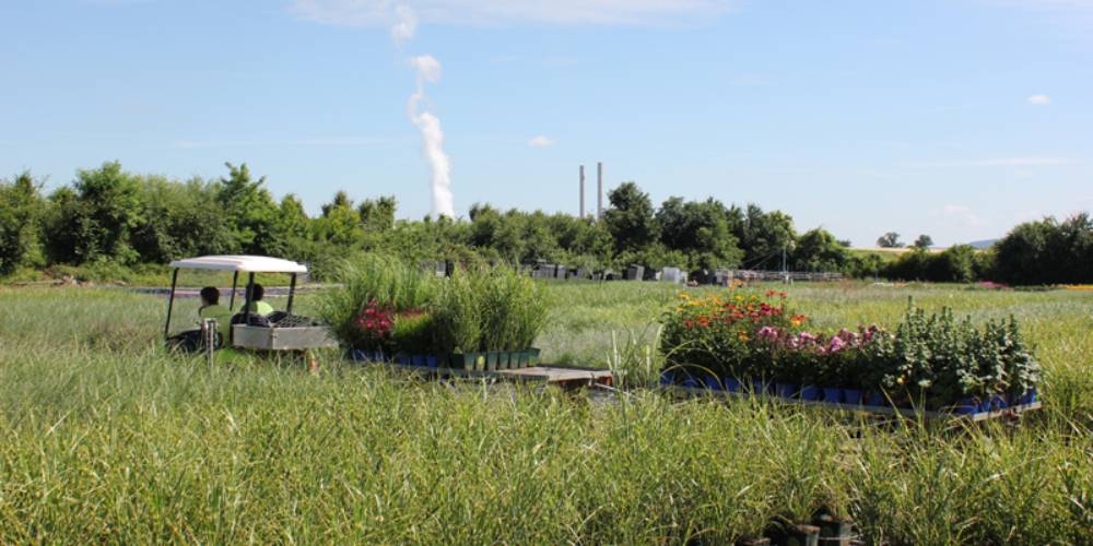 Verladen in der Gärtnerei