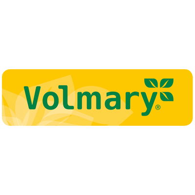 Blu Bio Gewürz-Limette, Topf-Ø 12 cm, 2er-Set