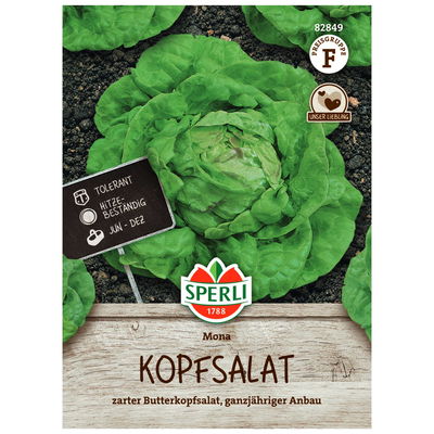 Gemüsesamen, Kopfsalat 'Mona' Gemüsesamen, Kopfsalat 'Mona'